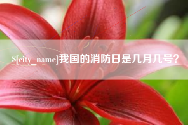 亳州我国的消防日是几月几号？