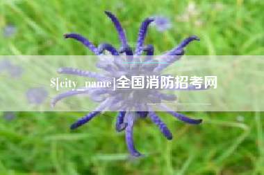亳州全国消防招考网