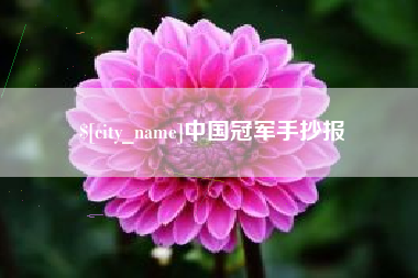 亳州中国冠军手抄报
