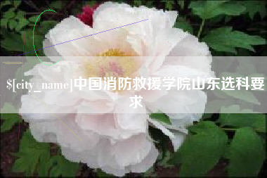 亳州中国消防救援学院山东选科要求