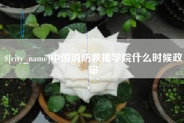 亳州中国消防救援学院什么时候政审