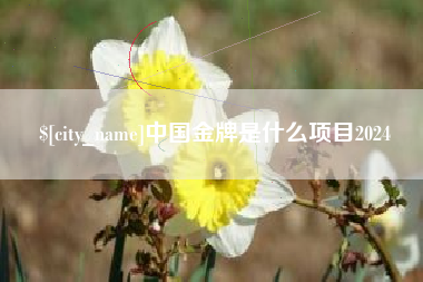 亳州中国金牌是什么项目2024