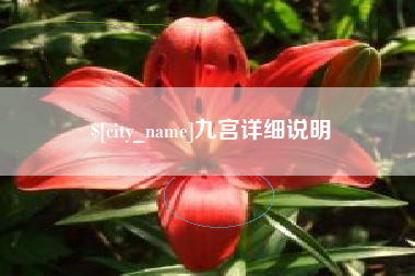 亳州九宫详细说明