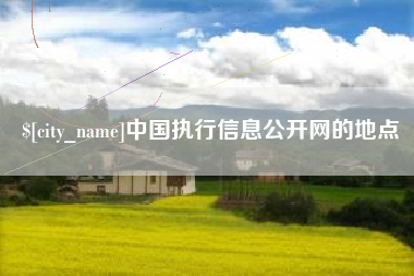 亳州中国执行信息公开网的地点