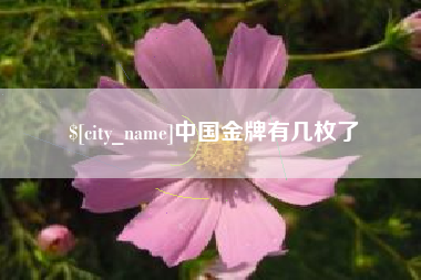 亳州中国金牌有几枚了