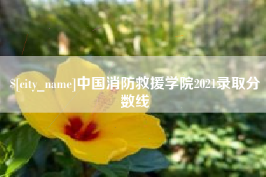 亳州中国消防救援学院2021录取分数线