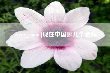 亳州现在中国哪几个金牌