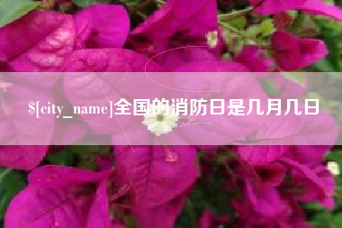 亳州全国的消防日是几月几日