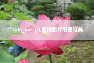 亳州九宫格图片组图唯美