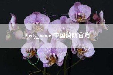 亳州中国消防官方