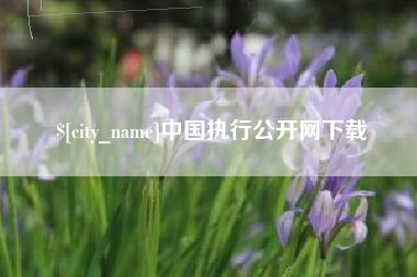 亳州中国执行公开网下载