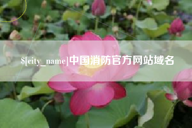 亳州中国消防官方网站域名