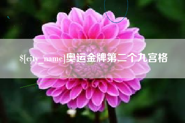 亳州奥运金牌第二个九宫格