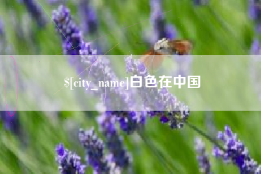 亳州白色在中国