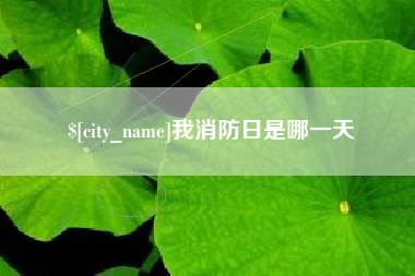 亳州我消防日是哪一天
