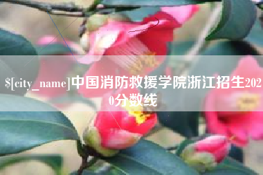 亳州中国消防救援学院浙江招生2020分数线