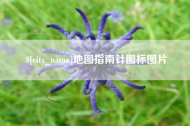 亳州地图指南针图标图片