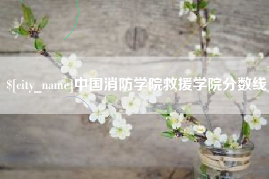 亳州中国消防学院救援学院分数线