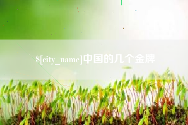 亳州中国的几个金牌