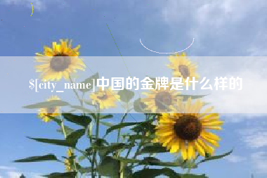 亳州中国的金牌是什么样的