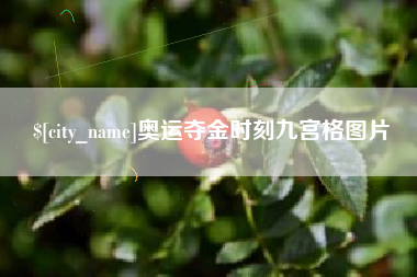 亳州奥运夺金时刻九宫格图片