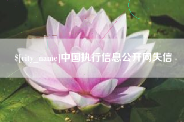 亳州中国执行信息公开网失信