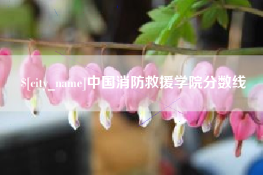 亳州中国消防救援学院分数线