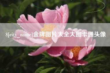 亳州金牌图片大全大图卡通头像