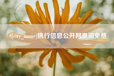 亳州执行信息公开网查询免费