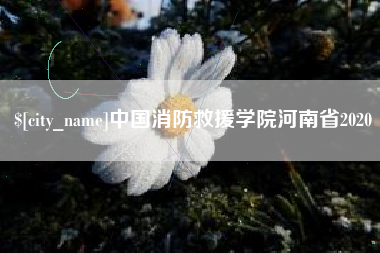 亳州中国消防救援学院河南省2020